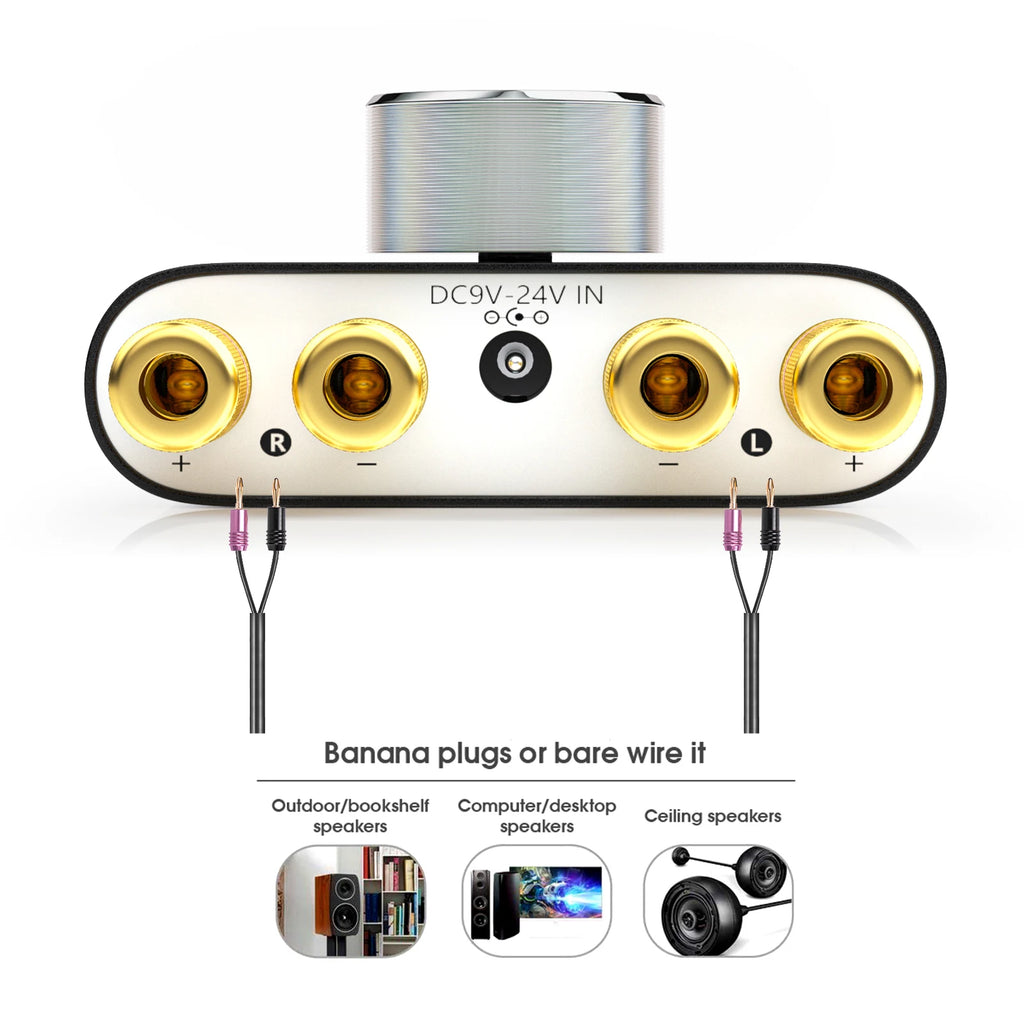 Douk Audio HiFi Bluetooth 5.0 Power Amplifier Mini TPA3116 Digital Class D Desk Stereo Audio Amp for Home Car 50W + 50W